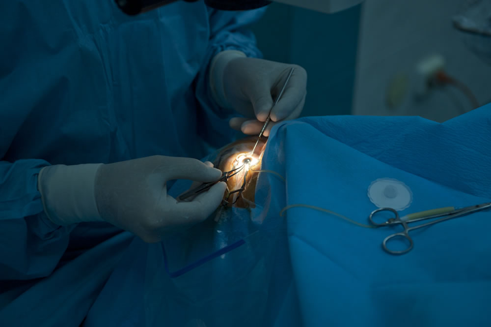 Clinica de Oftalmologie Alcor
